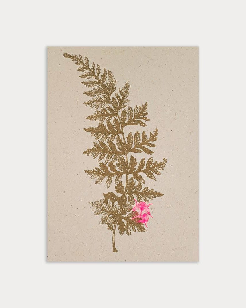 Postkarte / Farn mit Marienkäfer