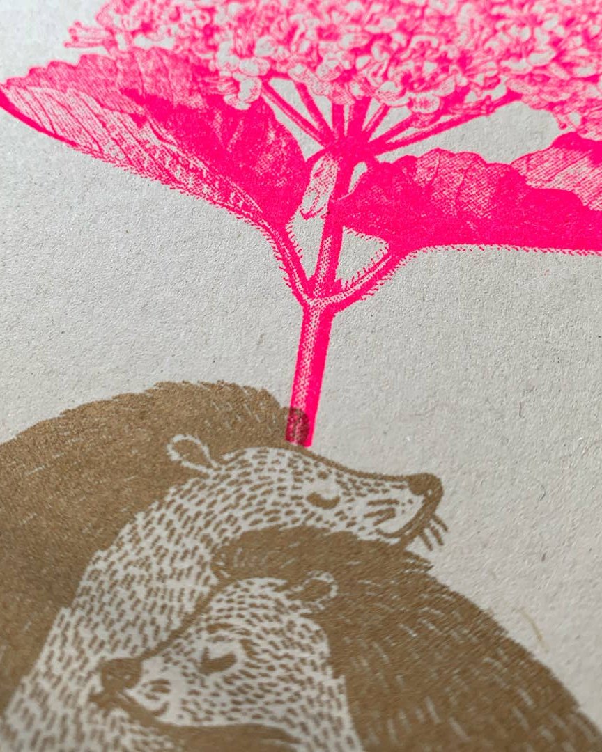 Postkarte / Igel mit Blume